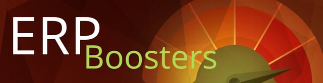 ERPbooster_Header.jpg